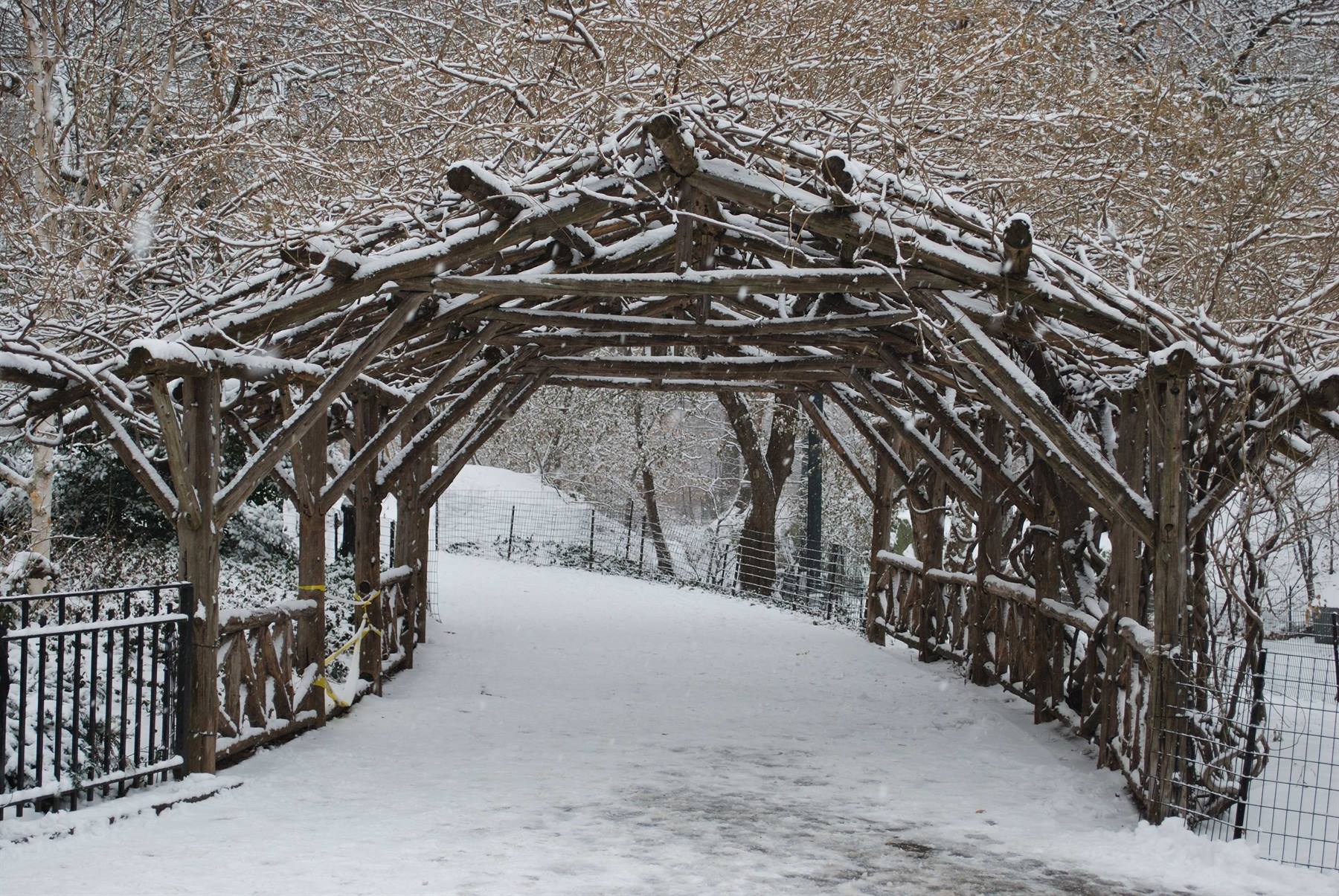 Central Park sotto la neve