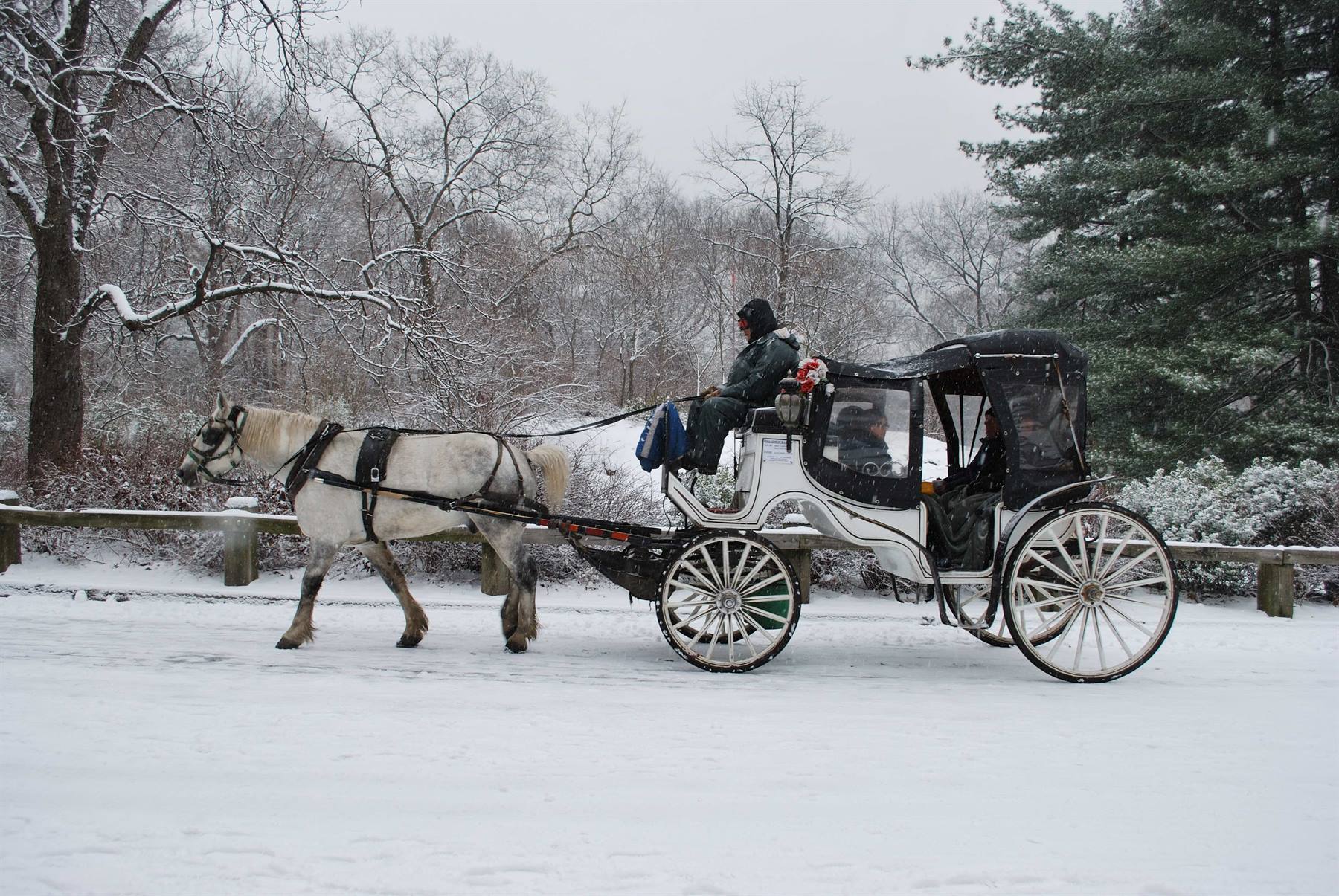 Romantica nevicata a NYC