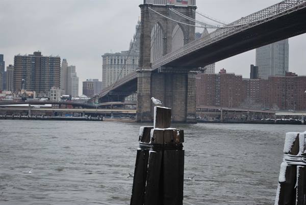 Veduta di NYC sotto la neve