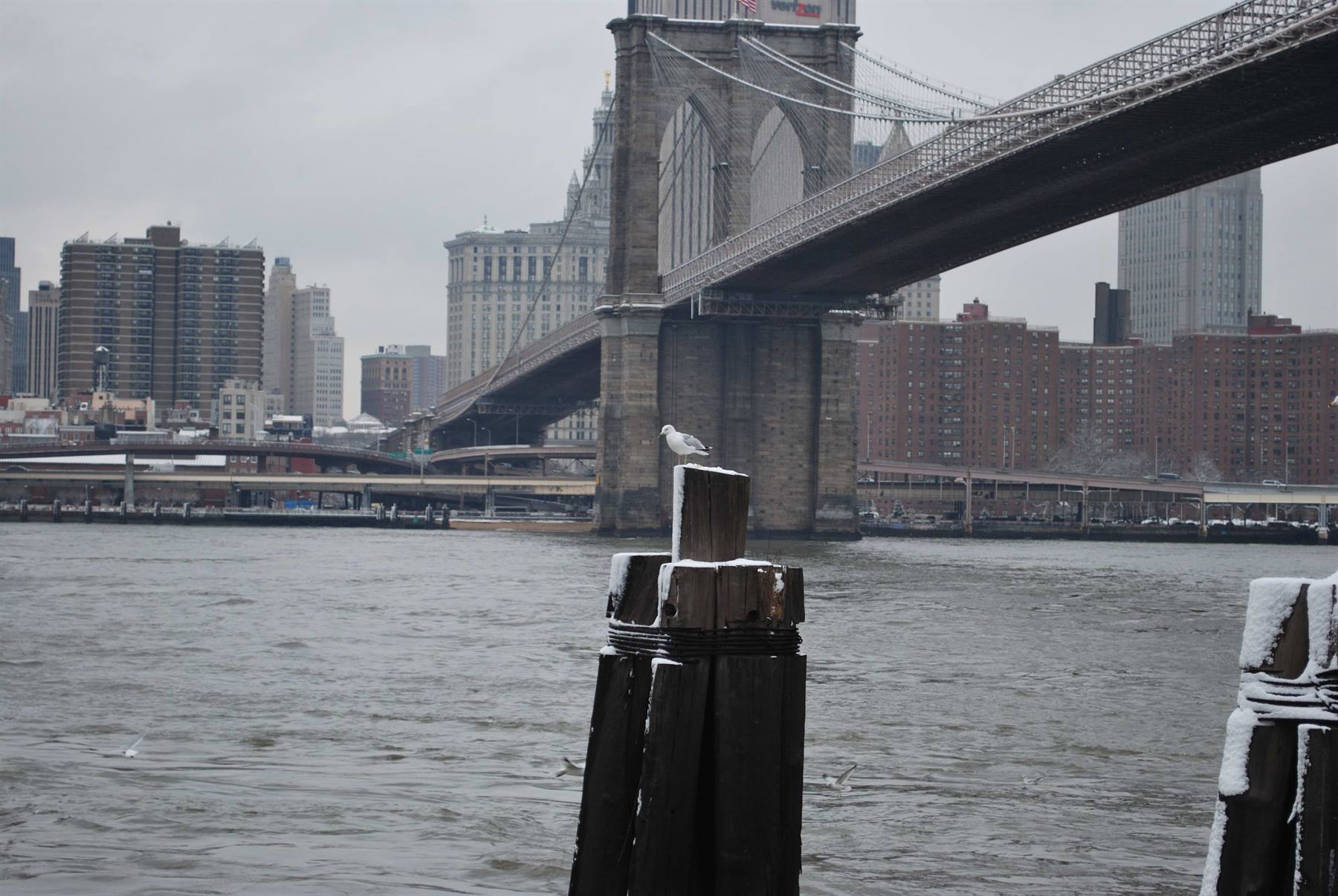 Veduta di NYC sotto la neve