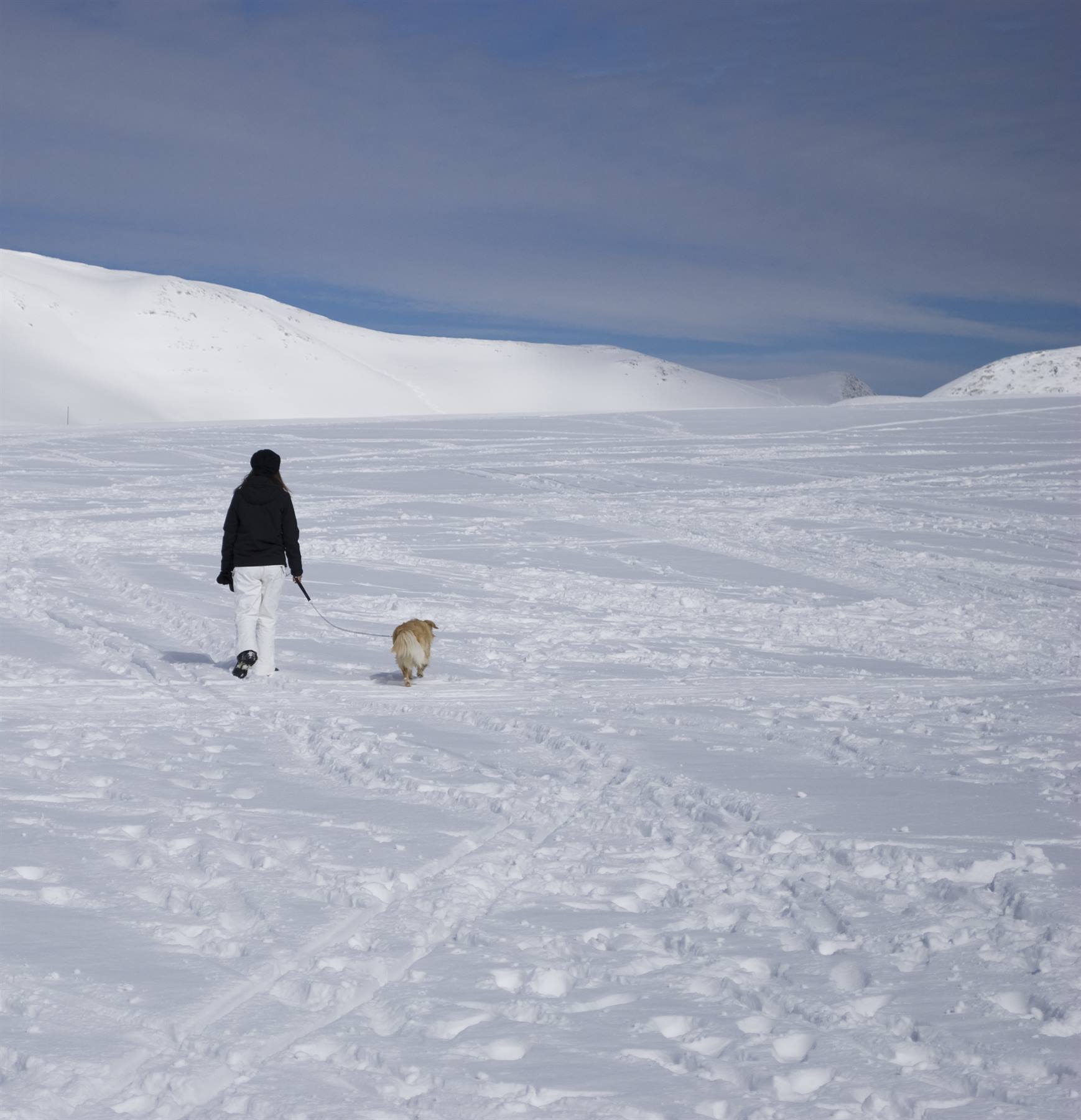 Passeggiate in quota