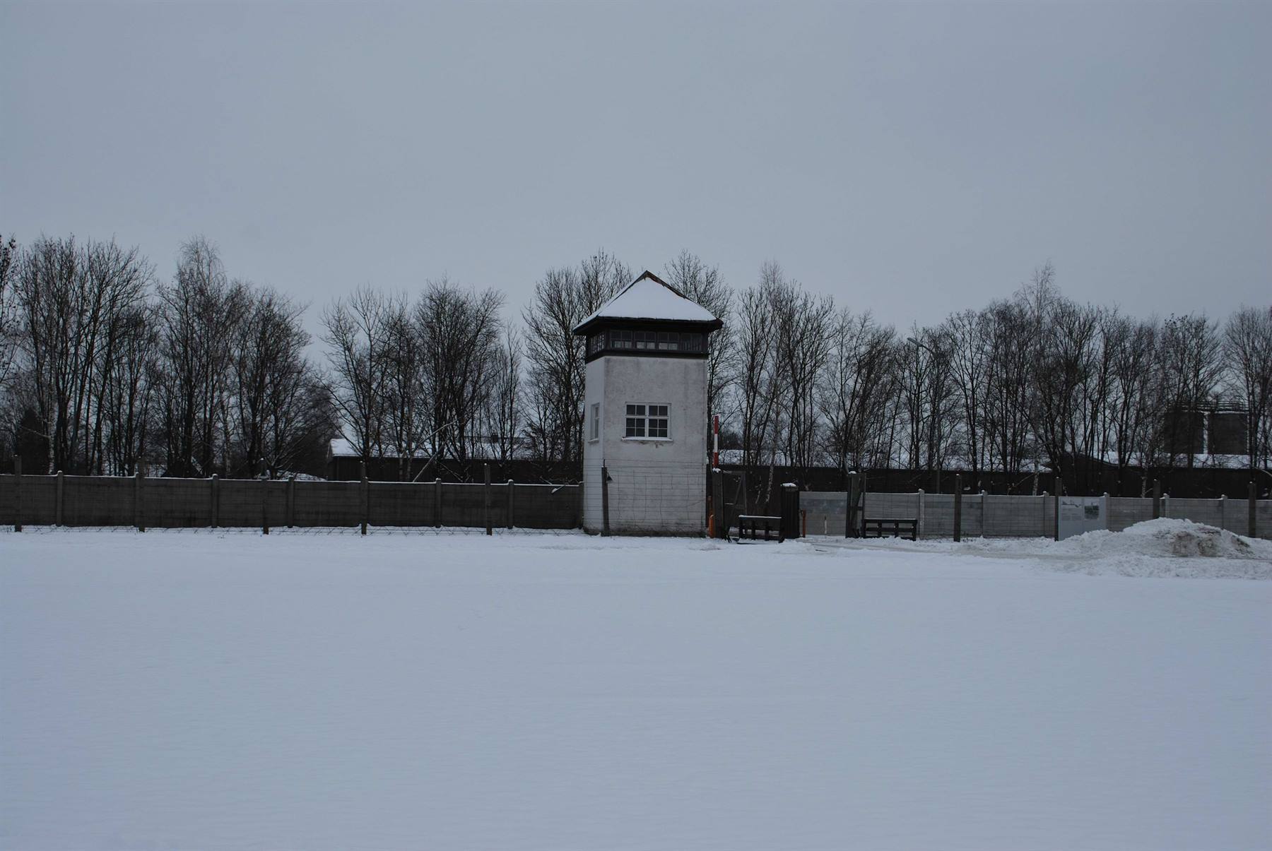 Foto di viaggio in GERMANIA