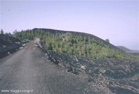 Pista del trekking