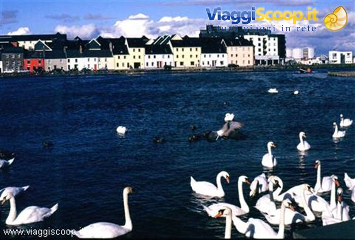 Baia di Galway