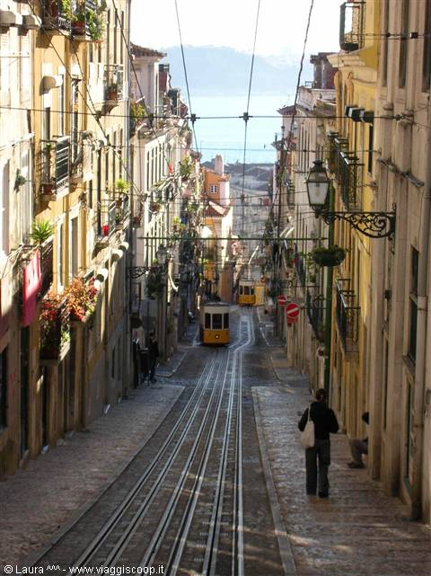 ELEVATOR DA BICA