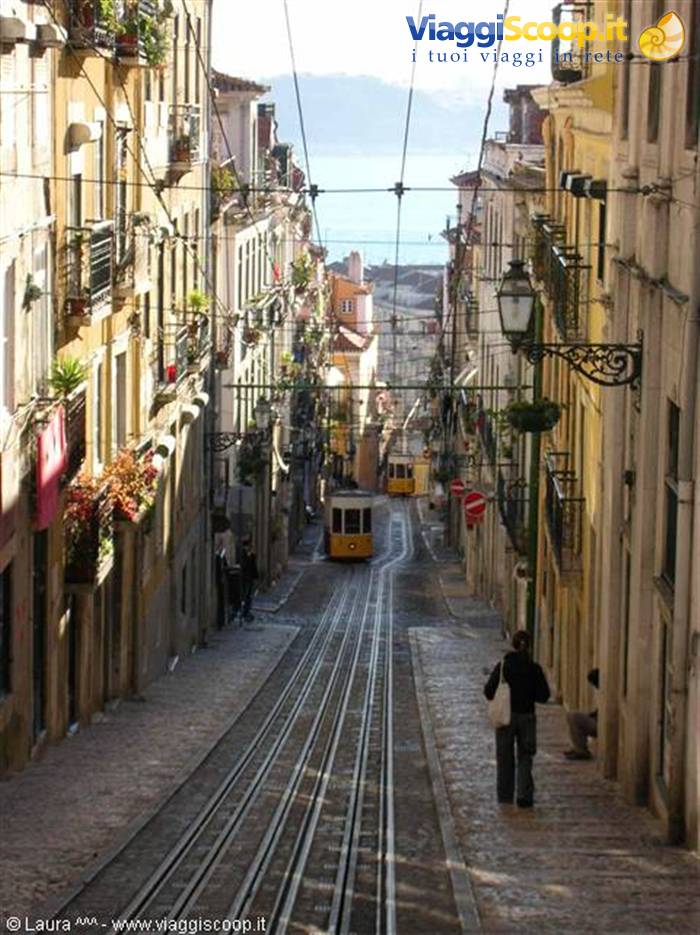 ELEVATOR DA BICA