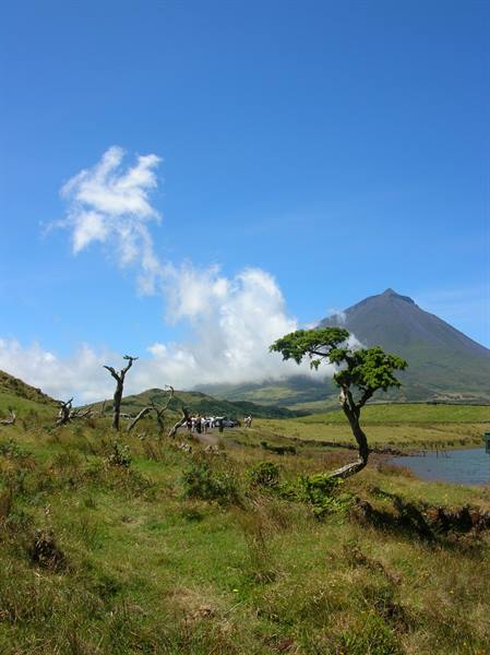 Isola di Pico - il vulcano Pico