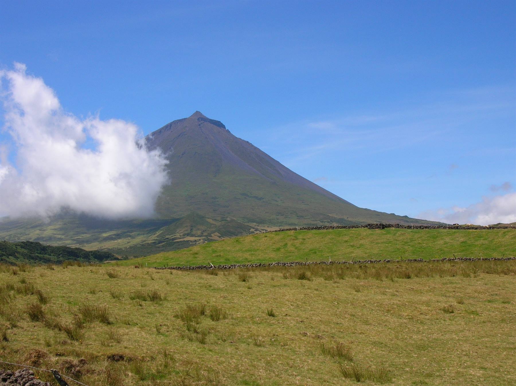 Il "Pico"