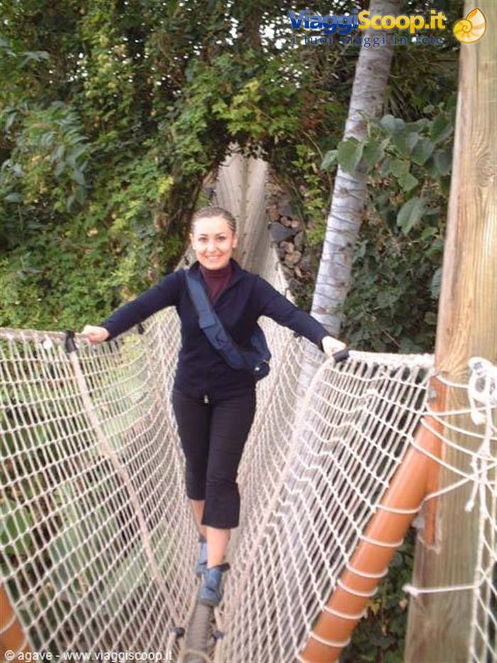 Mi sento un pò Tarzan!