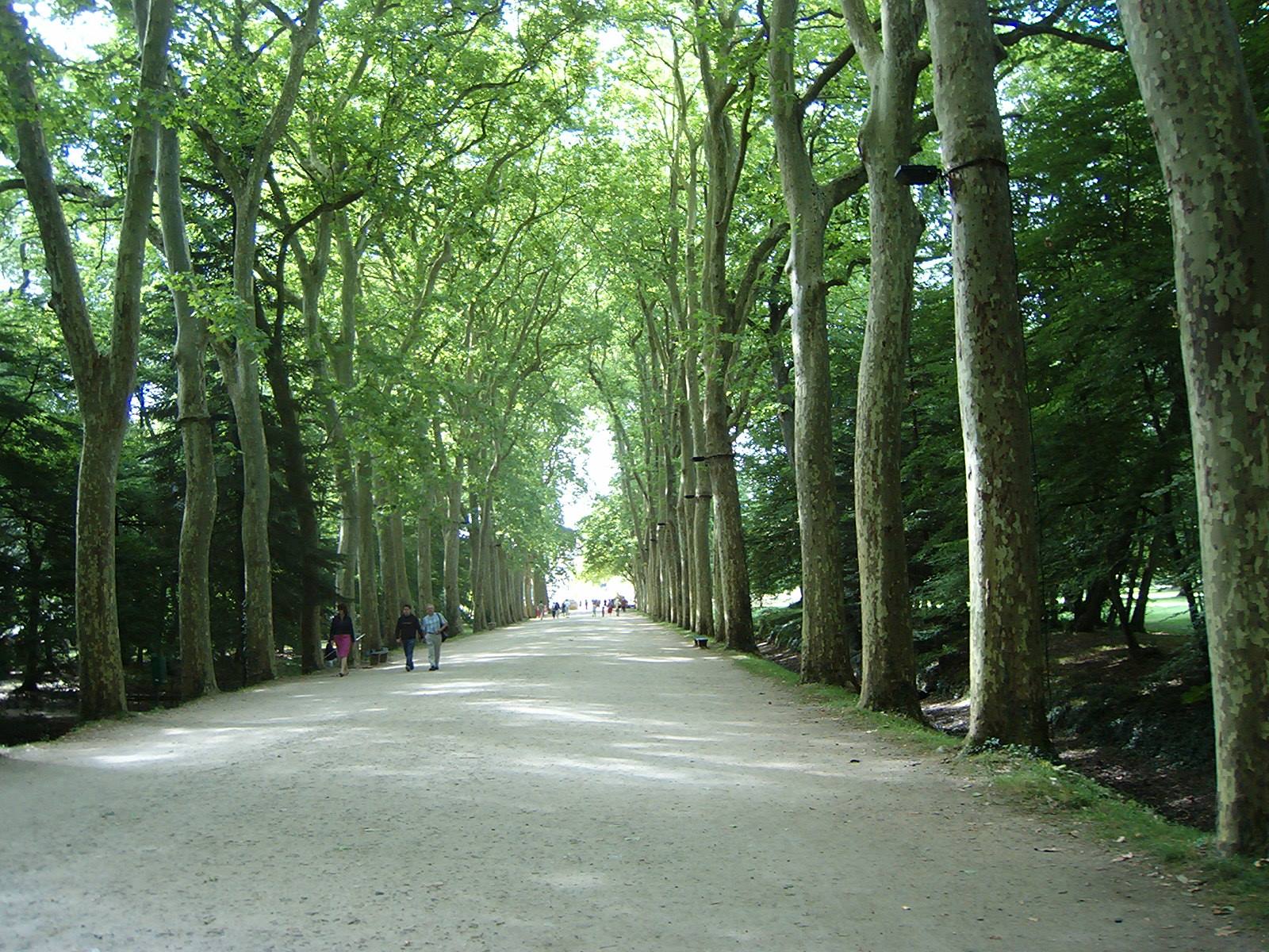 viale 
