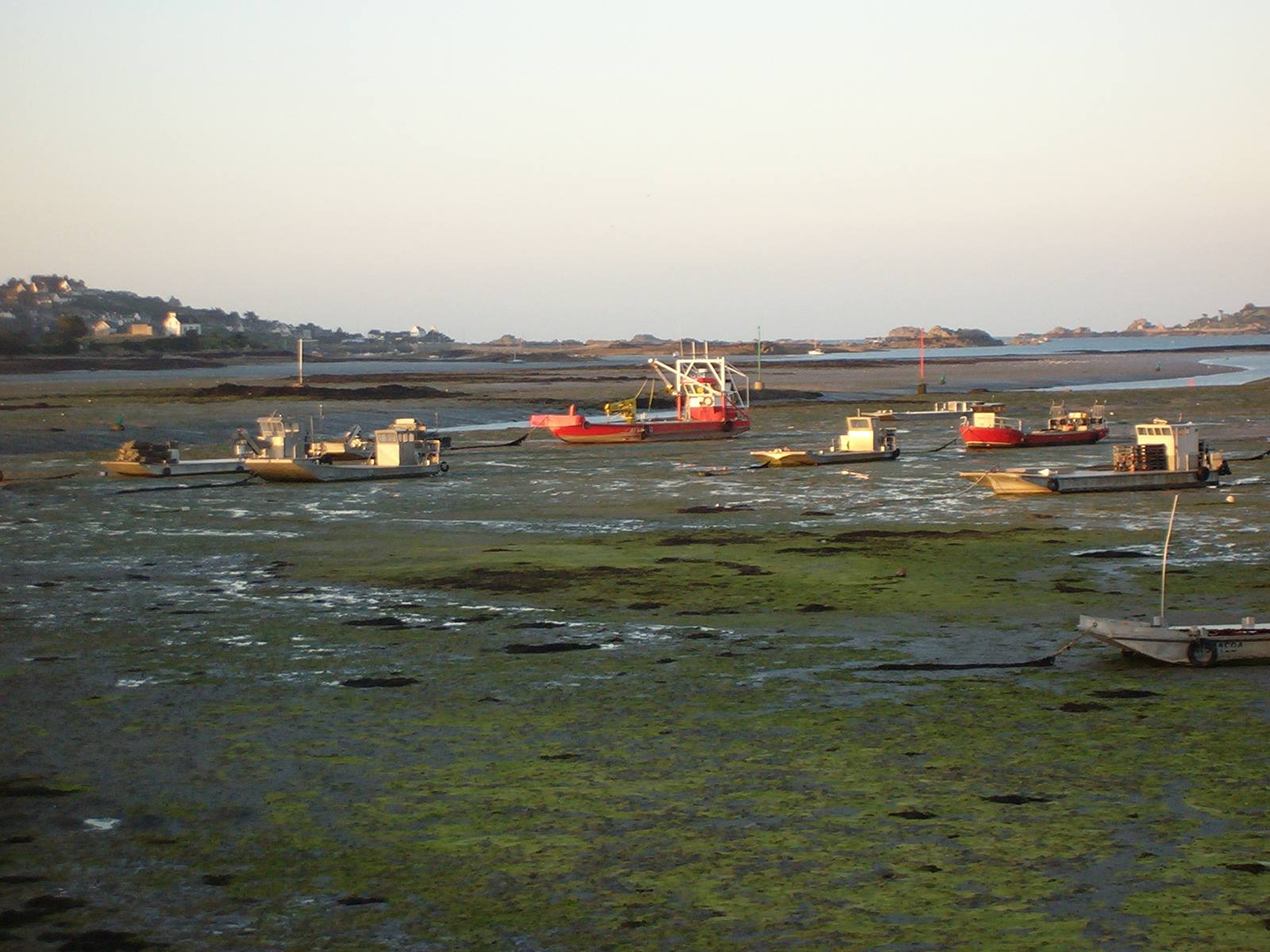 bassa marea