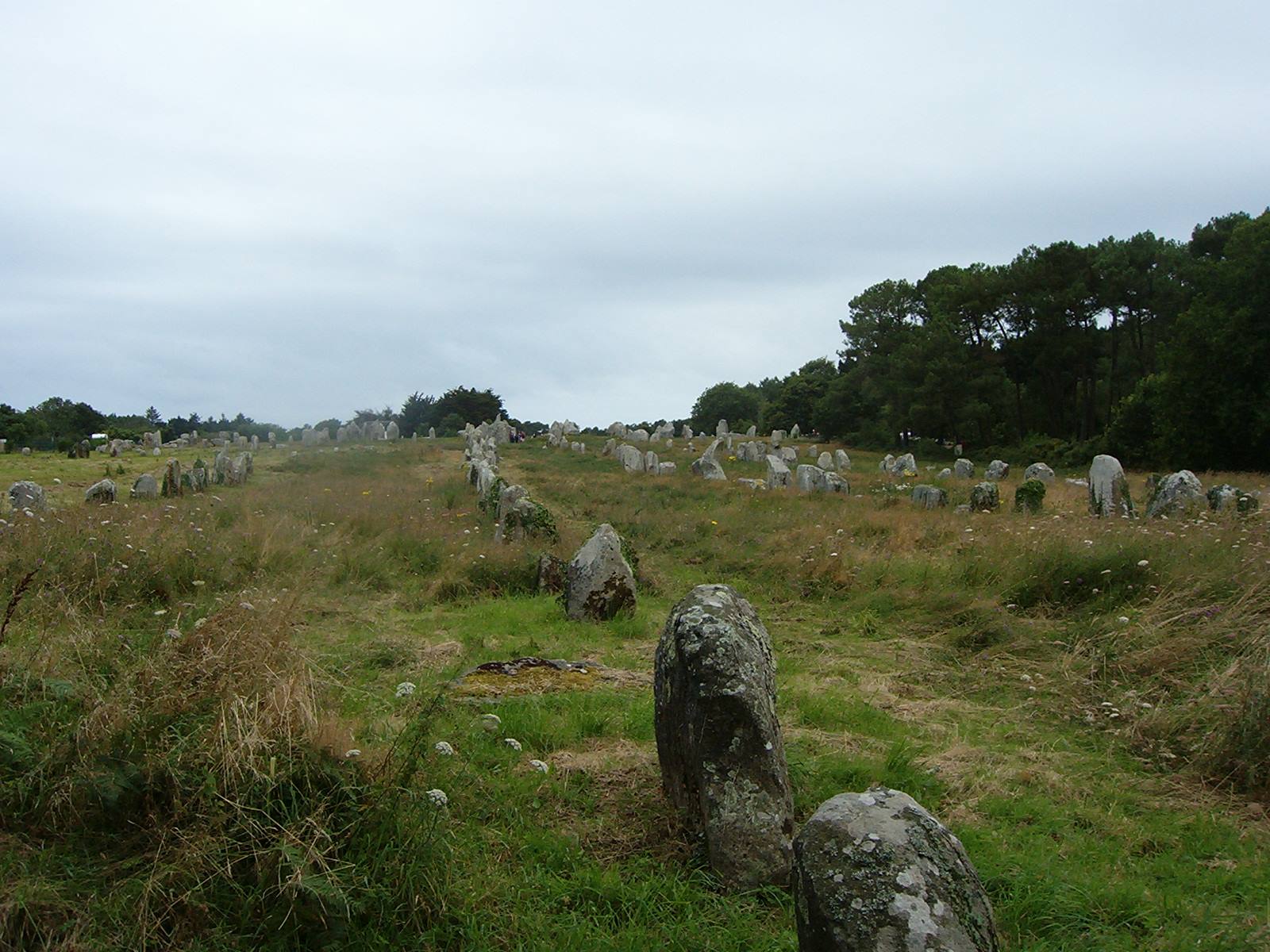 tutti in fila da 6000 anni