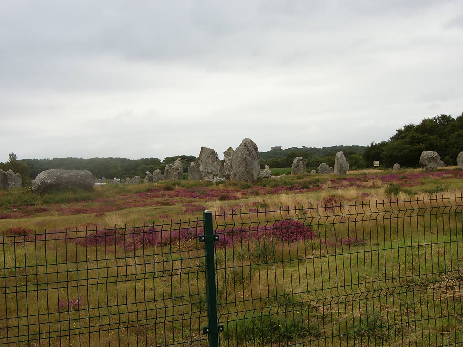 megaliti e fiori