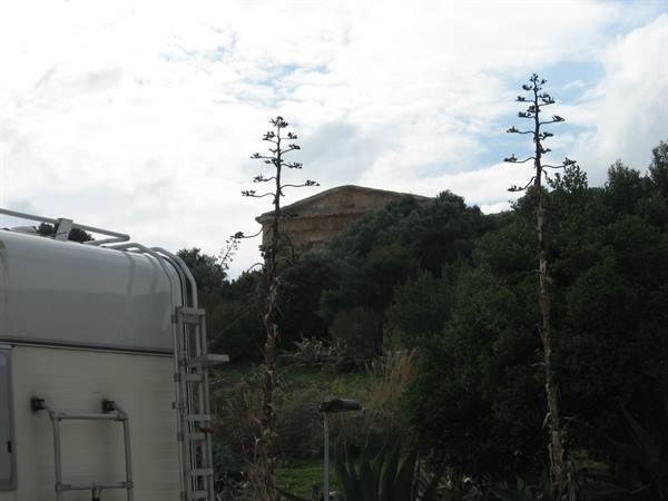 Segesta : il campere il tempio
