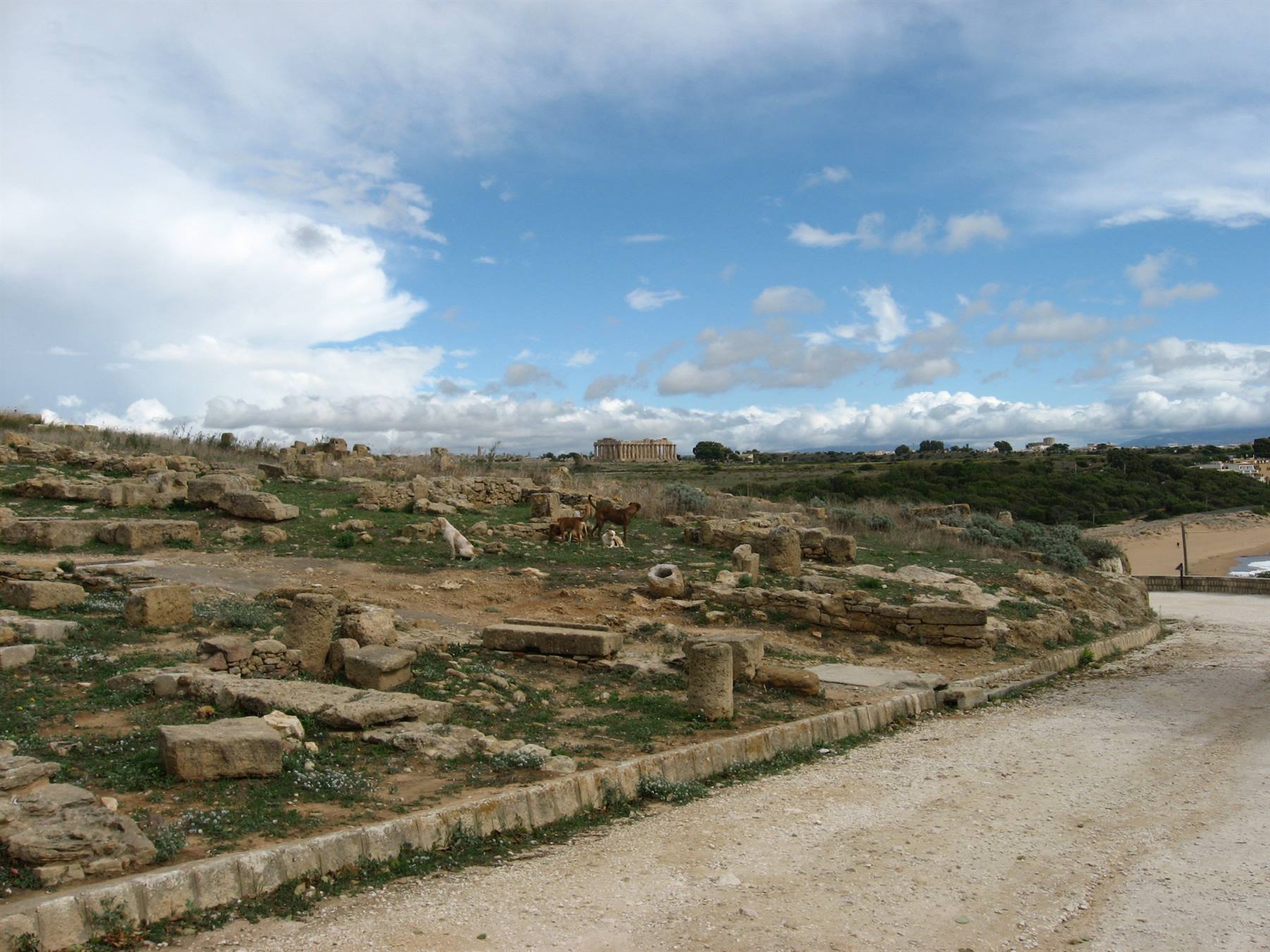 Selinunte : l'Acropoli