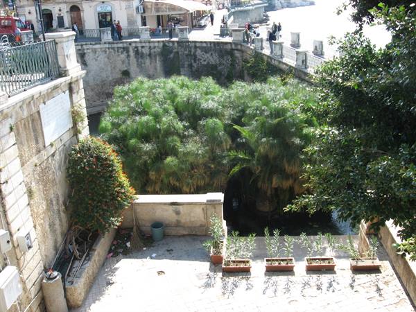 Siracusa:la fonte Aretusa