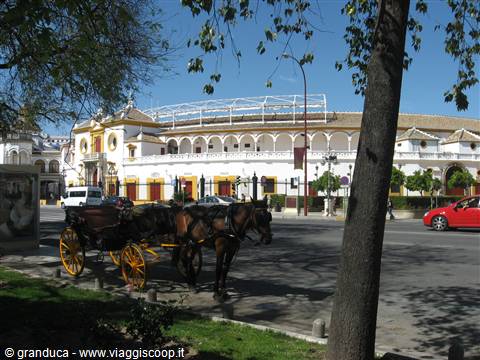 plaza de toros
