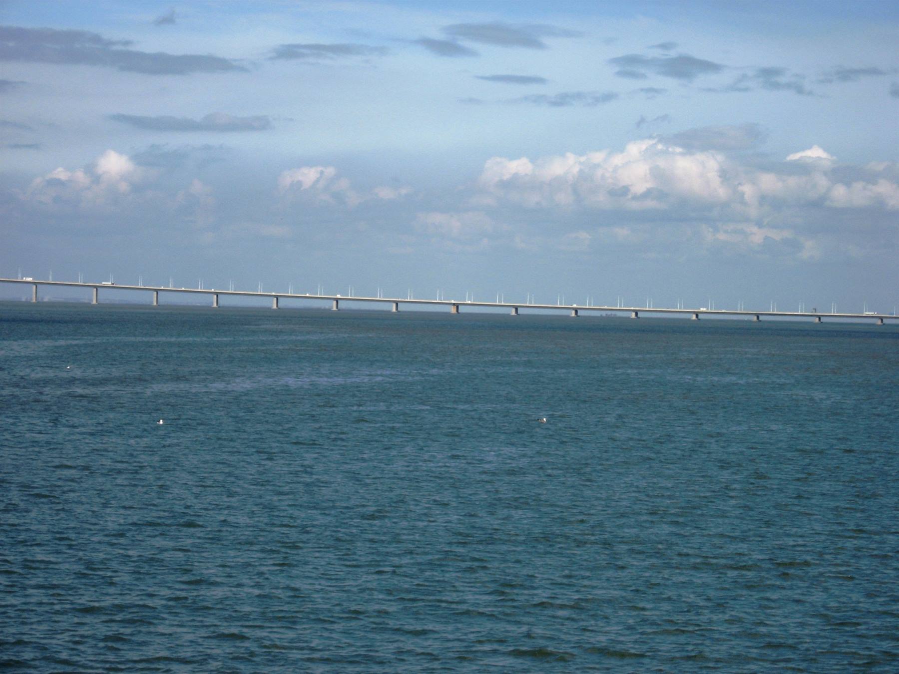 Ponte Vasco de Gama