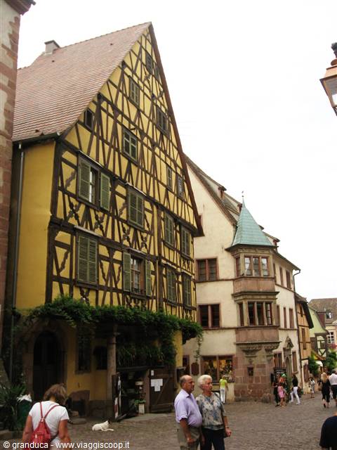 riquewhir