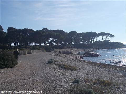 ile St. marguerite