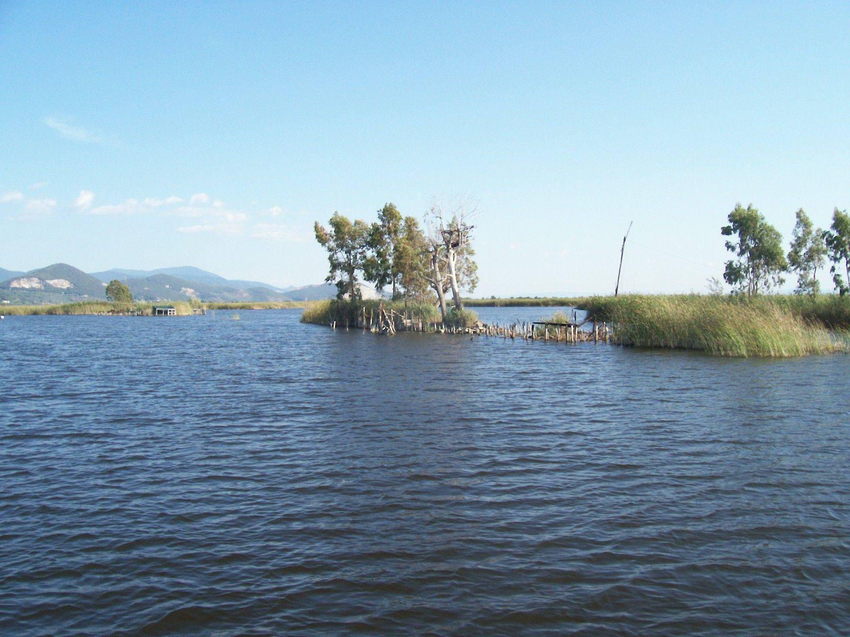 Lago massacuiccoli oasi naturalistica