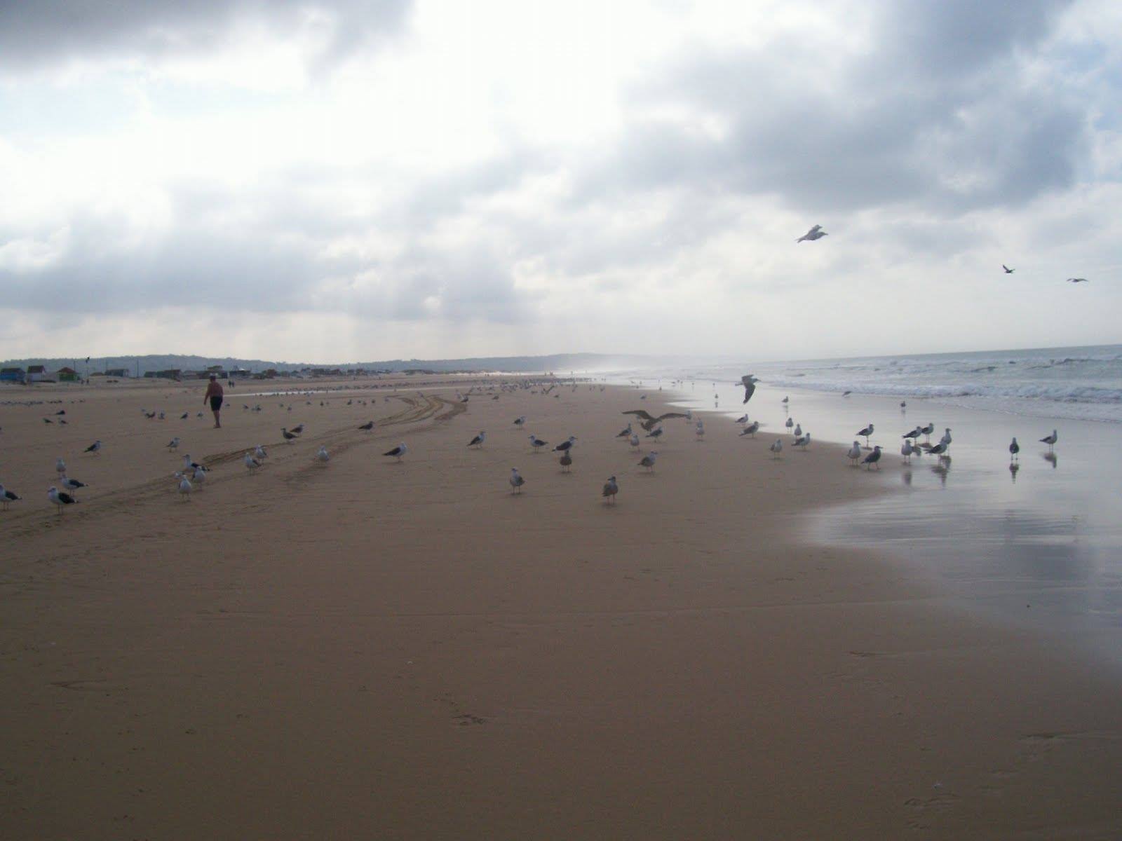 Costa da Caparica