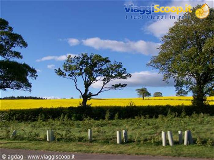 Culross - Verde Giallo Blu