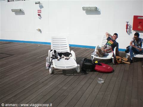 cani sulla nave