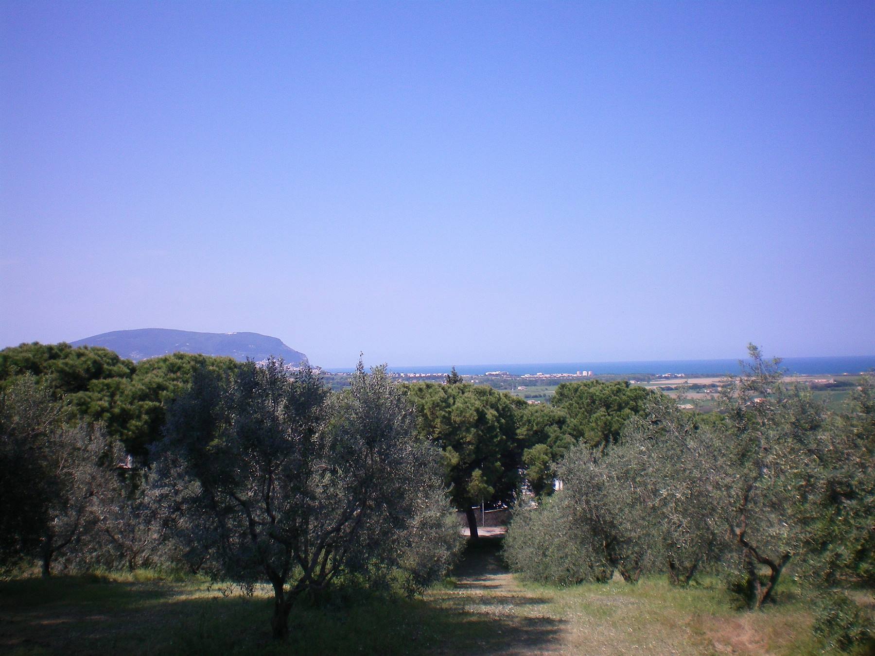 conero