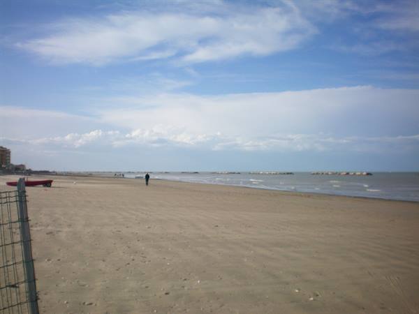 igea marina