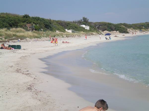 vista spiaggia punta proscutto