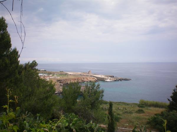 Santa Cesarea