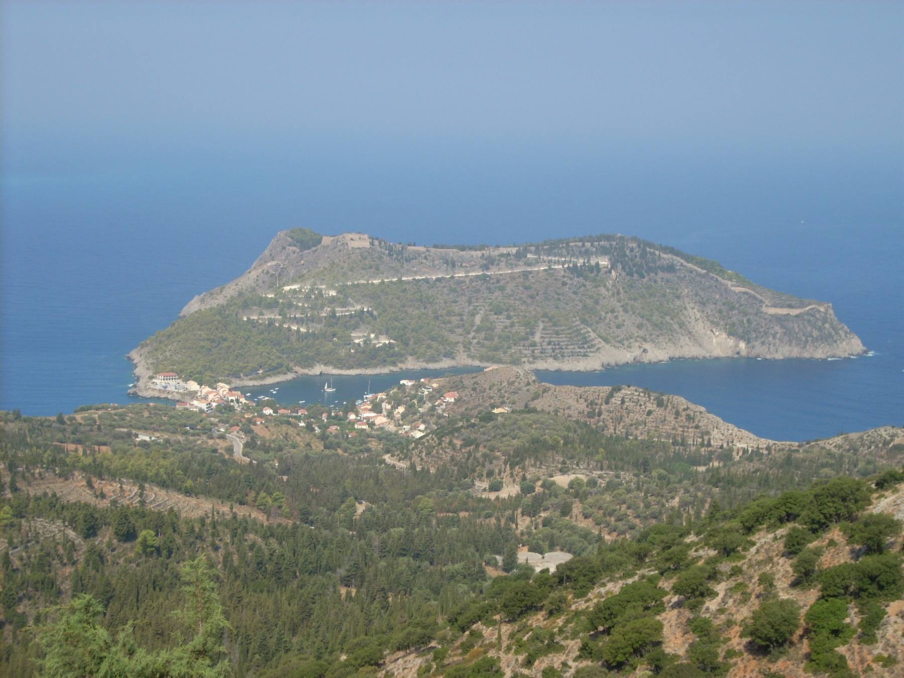 ASSOS