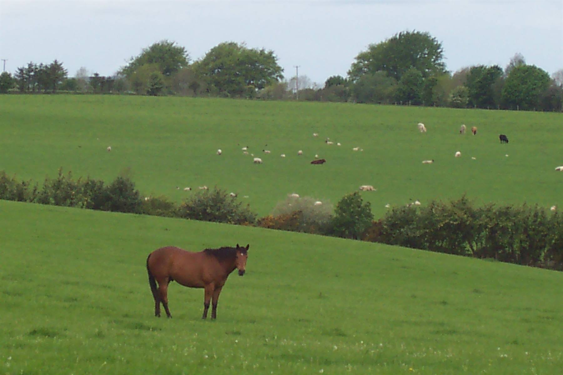 Foto di viaggio in IRLANDA