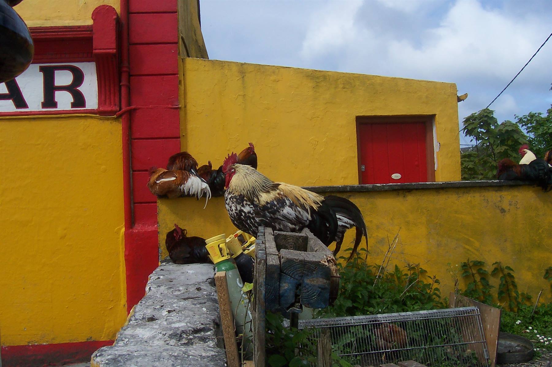 Foto di viaggio in IRLANDA