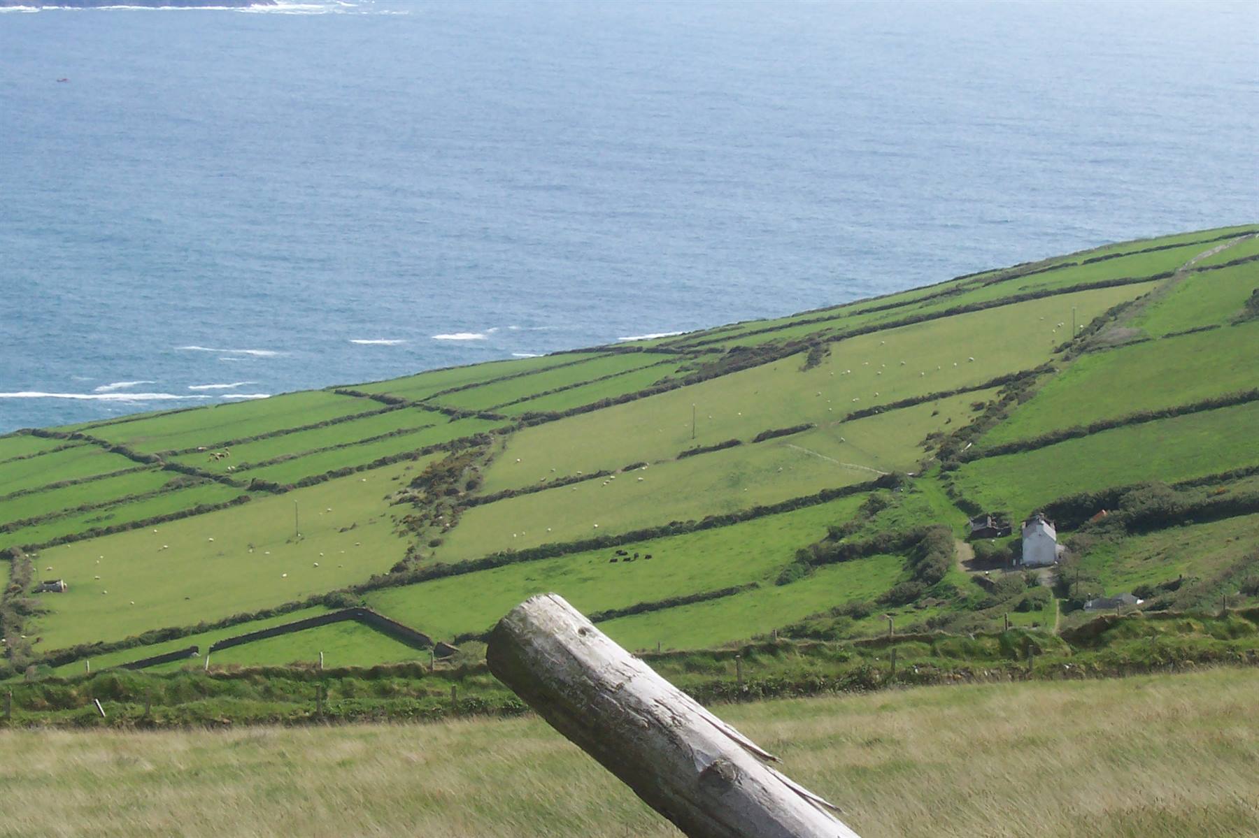 Foto di viaggio in IRLANDA