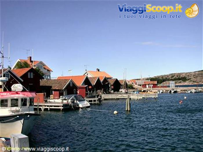 Fjalibacka