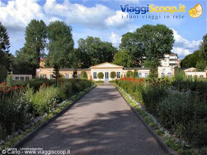 Upsala - Linnétraddarden