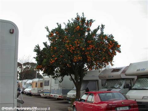 Napoli - Parcheggio IPM