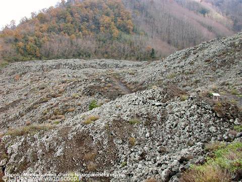 Napoli - Monte Summa - Lava e Licheni