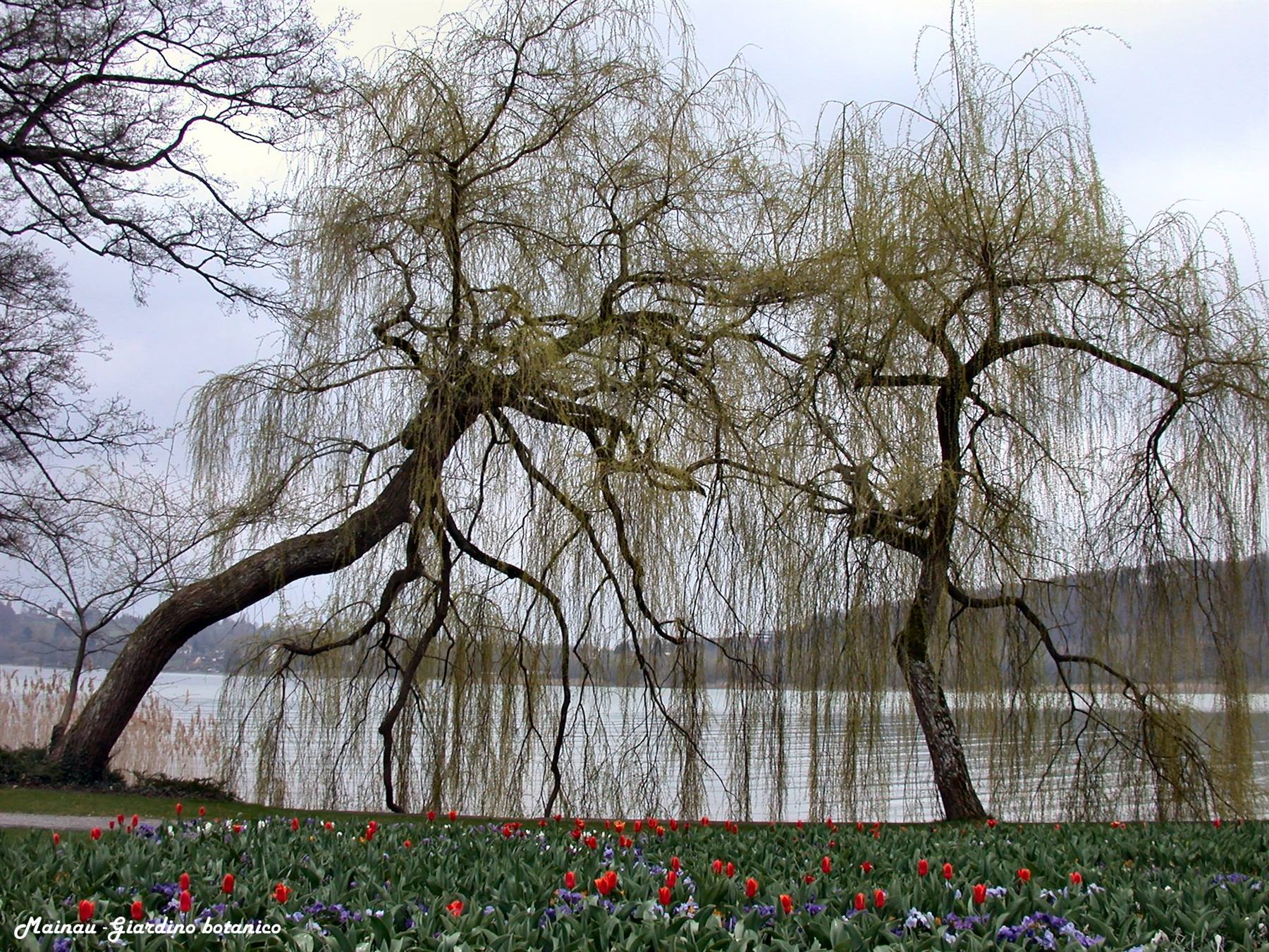 Mainau - Giardino botanico