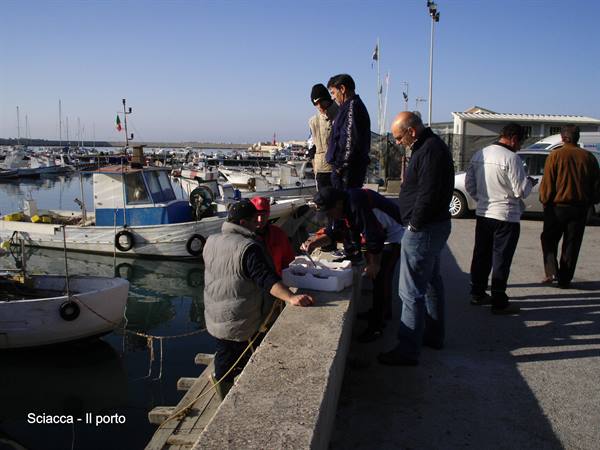Sciacca - il Porto
