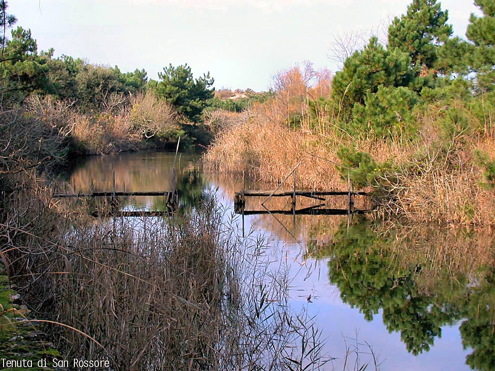 Tenuta di San Rossore