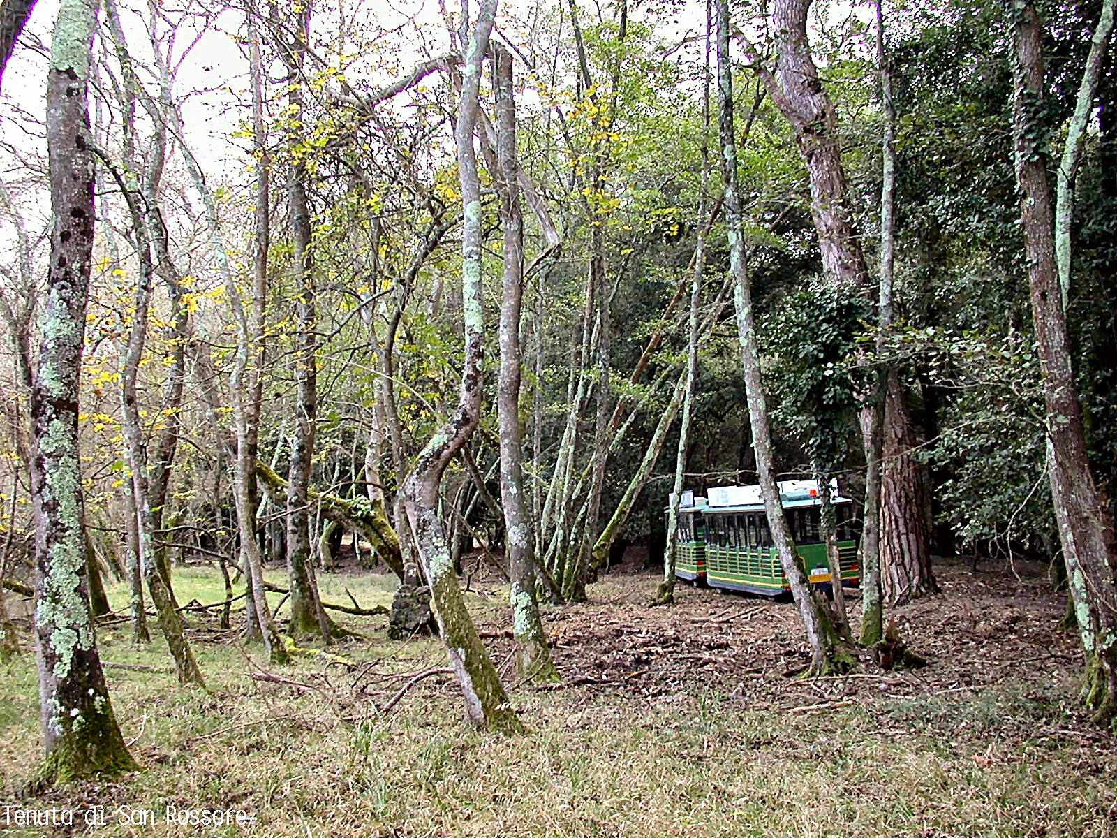 Tenuta di San Rossore
