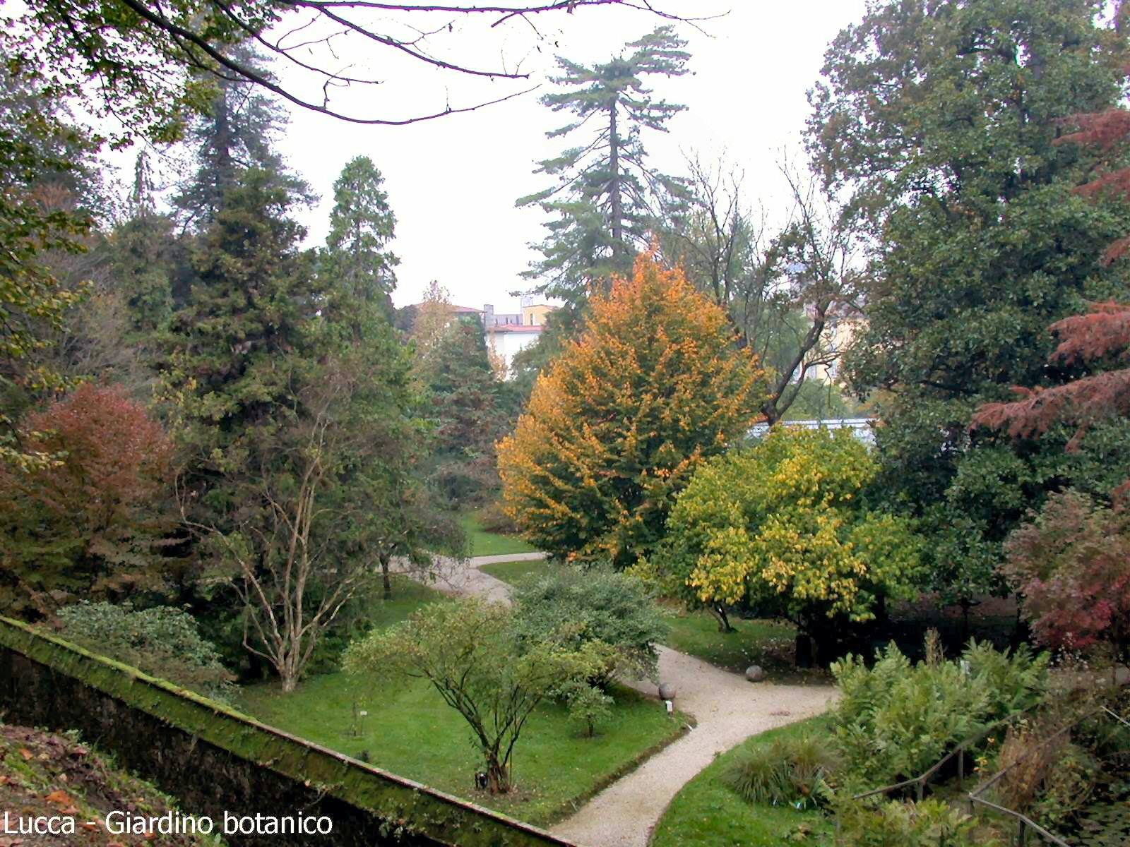 Lucca - Giardino botanico