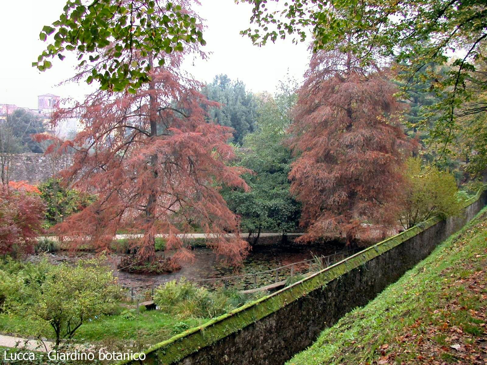 Lucca - Giardino botanico