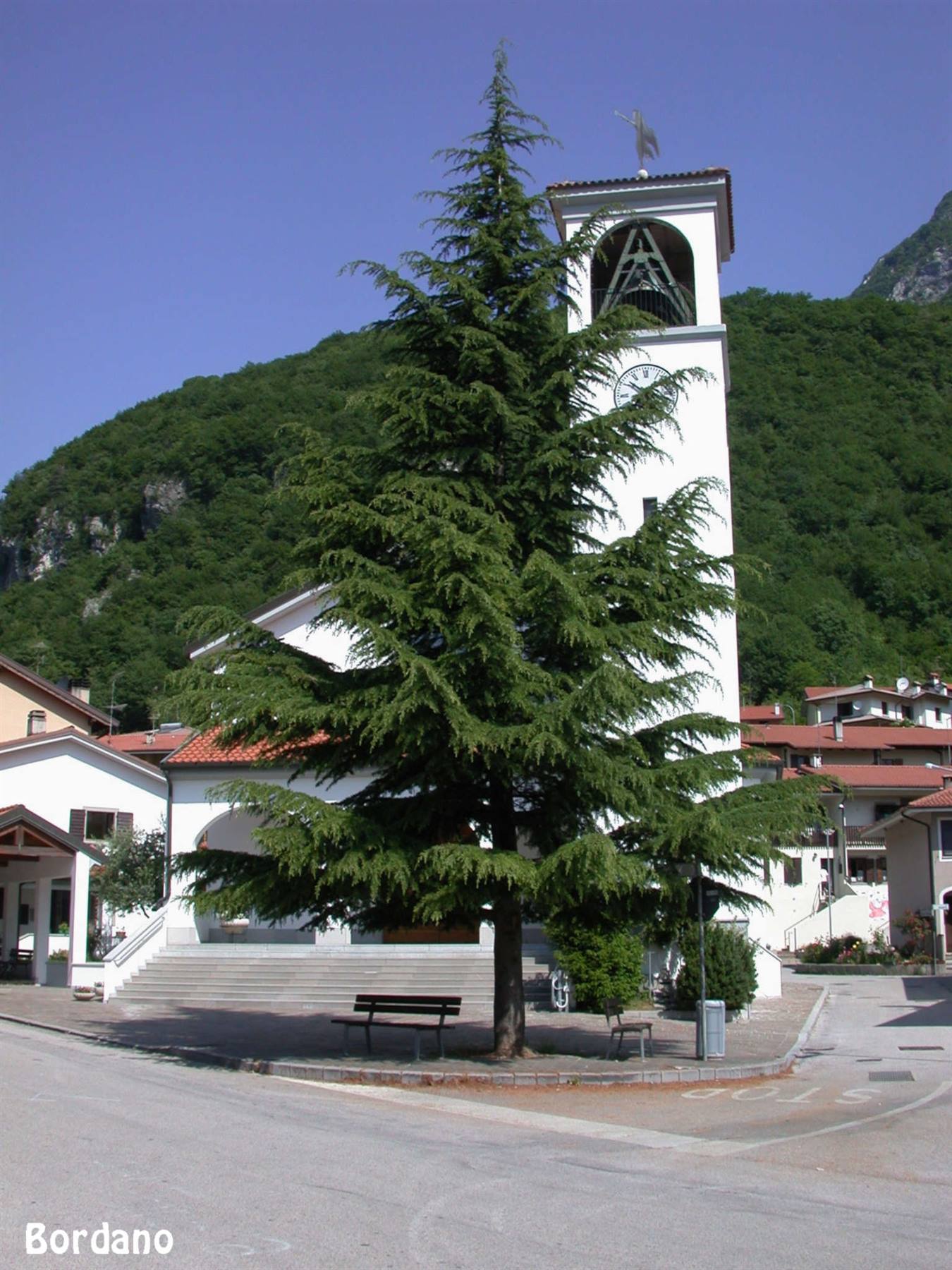 Bordano