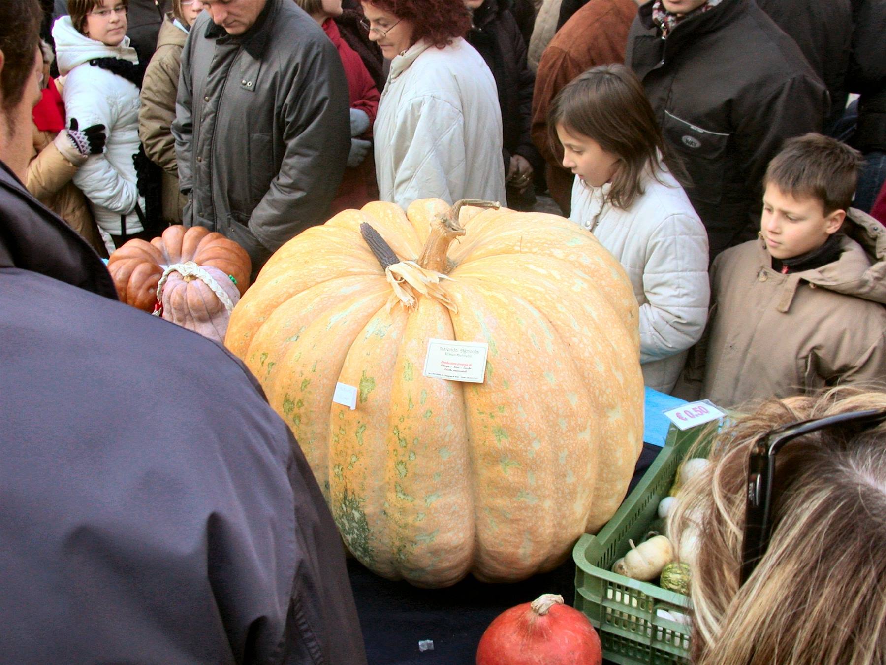 Venzone - la festa della zucca