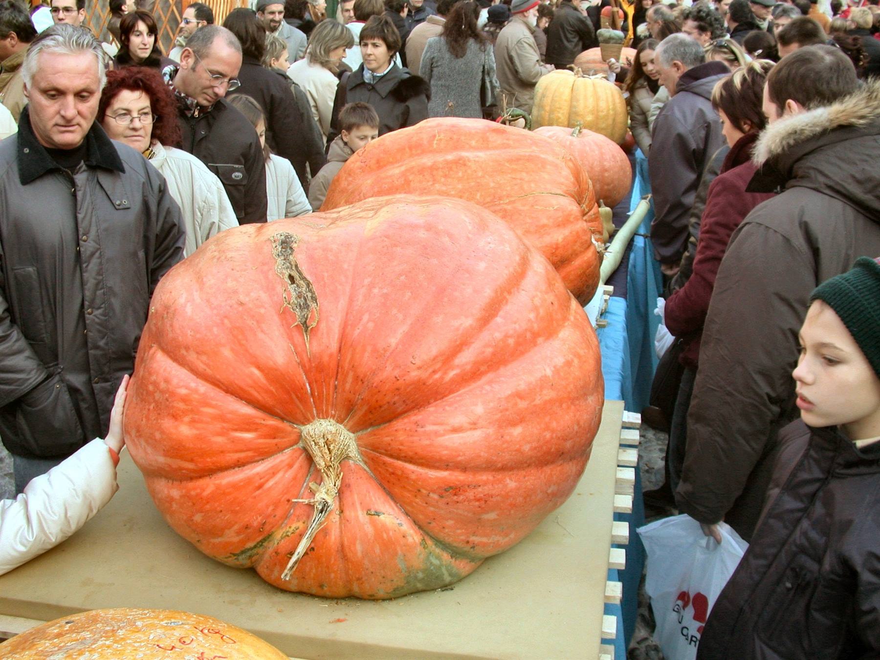 Venzone - la festa della zucca