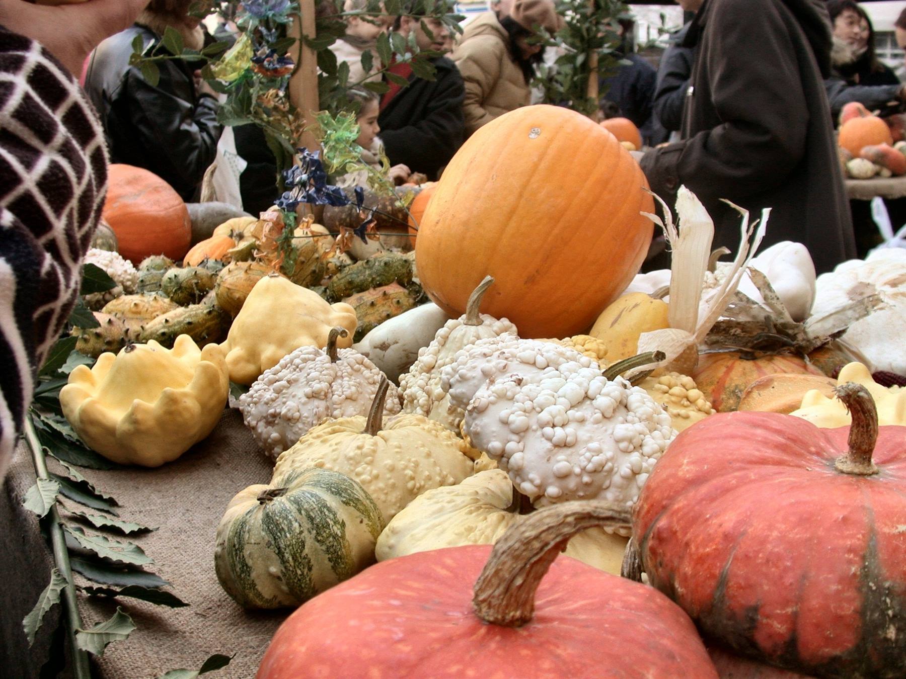 Venzone - La festa della Zucca